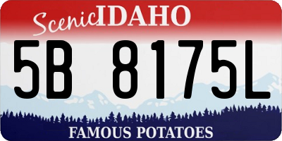 ID license plate 5B8175L