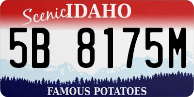 ID license plate 5B8175M