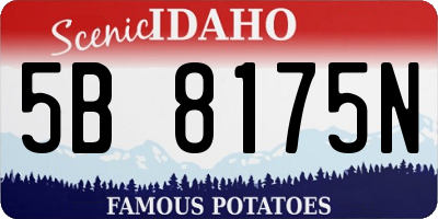 ID license plate 5B8175N