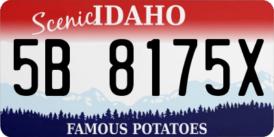 ID license plate 5B8175X