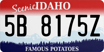ID license plate 5B8175Z