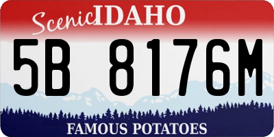 ID license plate 5B8176M