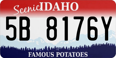 ID license plate 5B8176Y