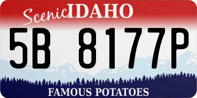 ID license plate 5B8177P