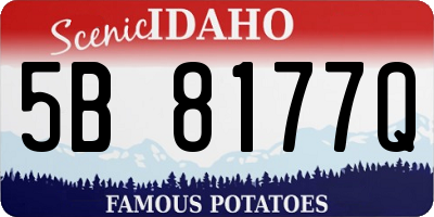ID license plate 5B8177Q
