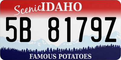 ID license plate 5B8179Z