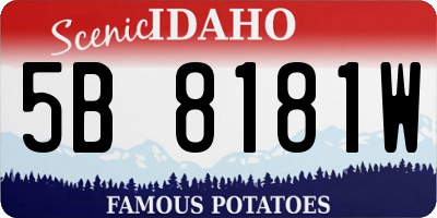 ID license plate 5B8181W