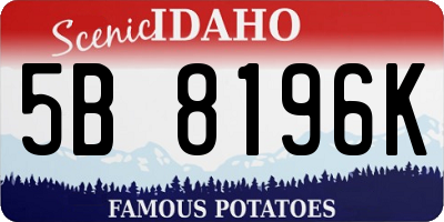 ID license plate 5B8196K