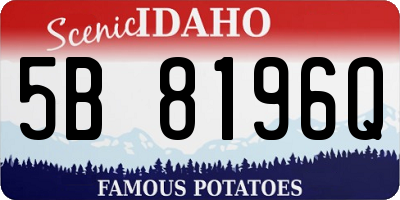 ID license plate 5B8196Q