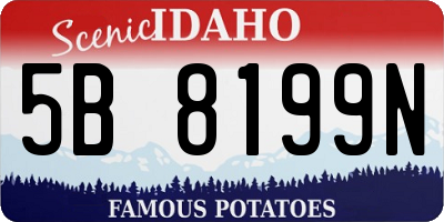 ID license plate 5B8199N
