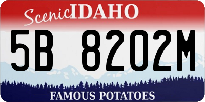 ID license plate 5B8202M