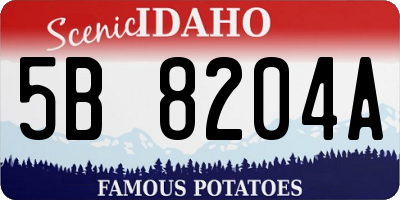 ID license plate 5B8204A