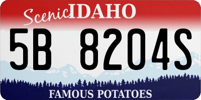 ID license plate 5B8204S