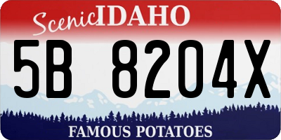 ID license plate 5B8204X