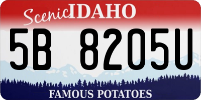 ID license plate 5B8205U