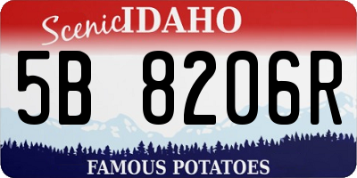 ID license plate 5B8206R