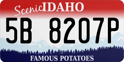 ID license plate 5B8207P