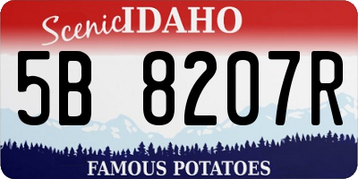 ID license plate 5B8207R