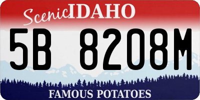 ID license plate 5B8208M