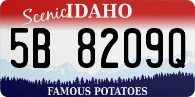 ID license plate 5B8209Q