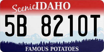 ID license plate 5B8210T