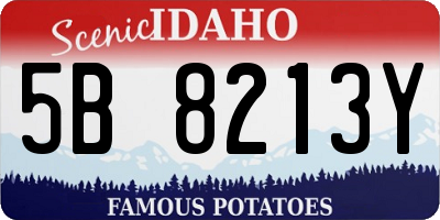ID license plate 5B8213Y