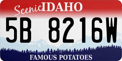 ID license plate 5B8216W