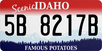 ID license plate 5B8217B