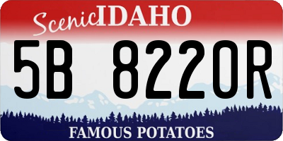 ID license plate 5B8220R