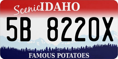 ID license plate 5B8220X