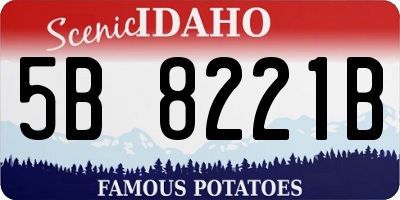 ID license plate 5B8221B