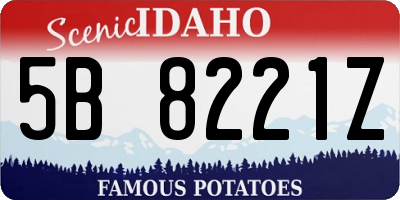 ID license plate 5B8221Z