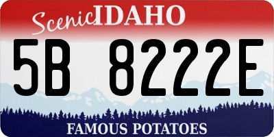 ID license plate 5B8222E