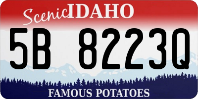 ID license plate 5B8223Q