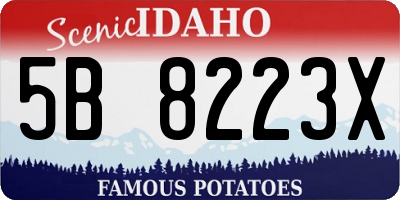 ID license plate 5B8223X