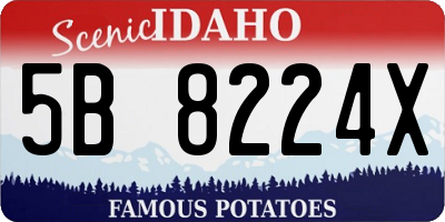ID license plate 5B8224X