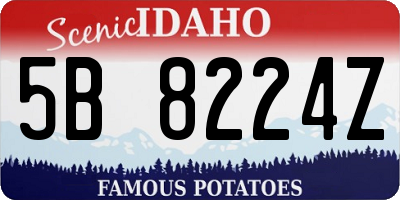 ID license plate 5B8224Z