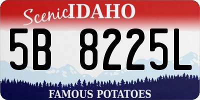 ID license plate 5B8225L
