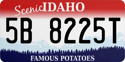 ID license plate 5B8225T