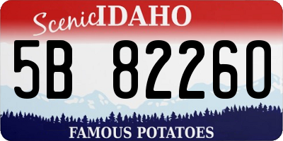 ID license plate 5B8226O
