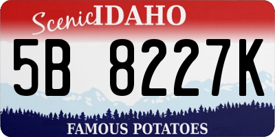 ID license plate 5B8227K