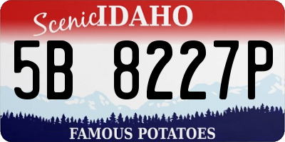 ID license plate 5B8227P