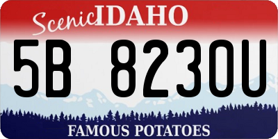 ID license plate 5B8230U