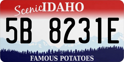 ID license plate 5B8231E