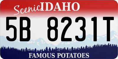 ID license plate 5B8231T
