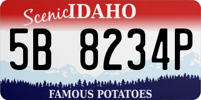ID license plate 5B8234P