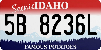 ID license plate 5B8236L