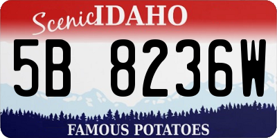 ID license plate 5B8236W