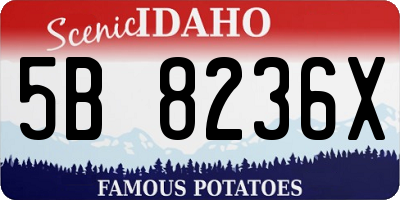 ID license plate 5B8236X