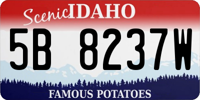 ID license plate 5B8237W